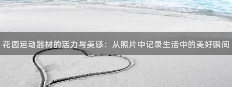 征途国际集团官网:花园运动器材的活力与美感:从照片中记录生活