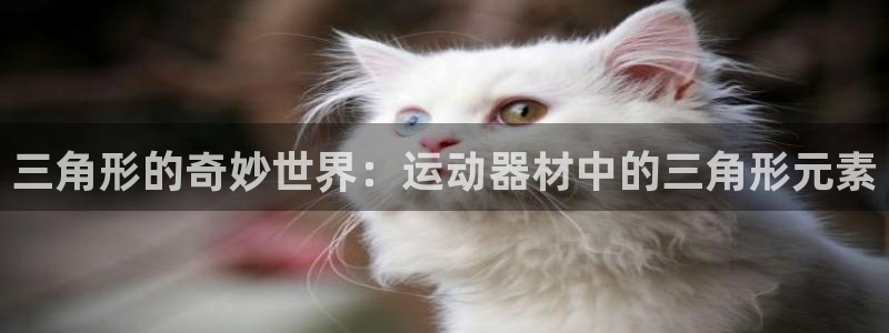 征途国际娱乐是那个系列的台子:三角形的奇妙世界:运动器材中的